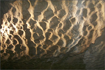 Scallops on the Ceiling Indicate Past Water Flow (Source: Oregon Caves Image Library)